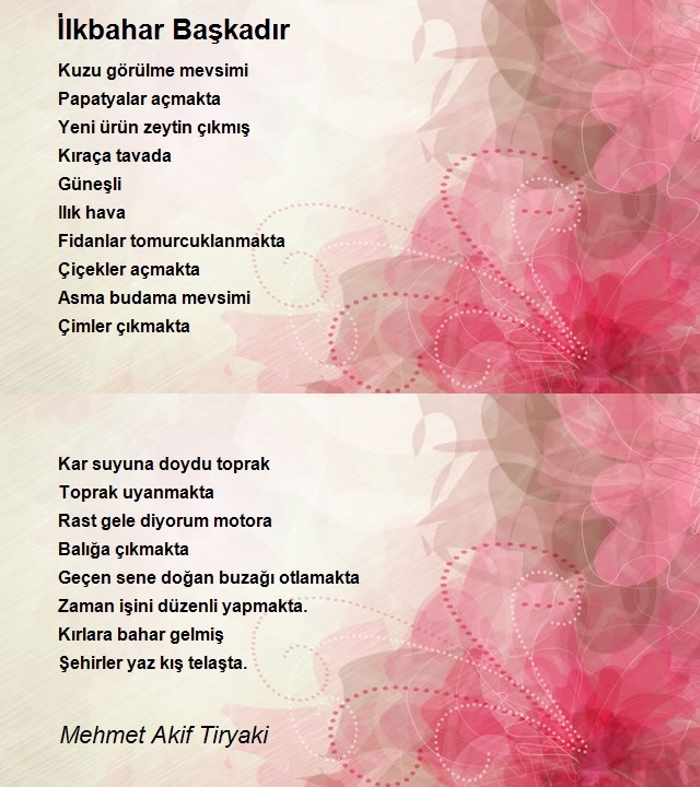 Mehmet Akif Tiryaki