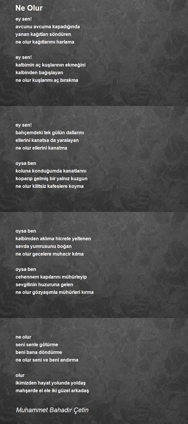 Muhammet Bahadır Çetin