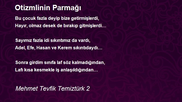 Mehmet Tevfik Temiztürk 2