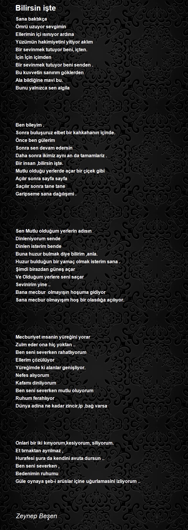 Zeynep Beşen