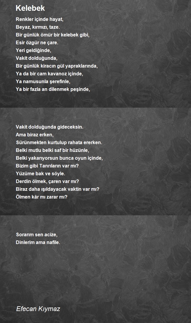 Efecan Kıymaz