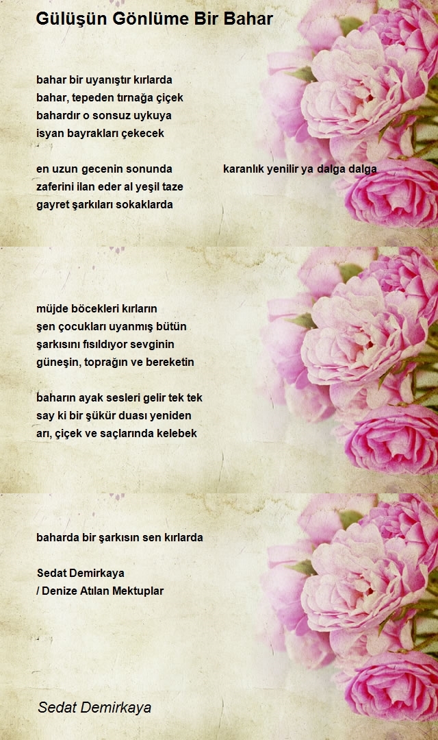 Sedat Demirkaya