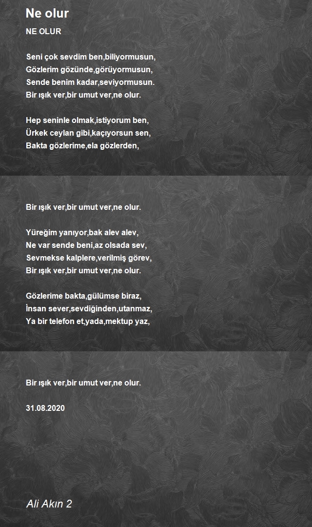 Ali Akın 2