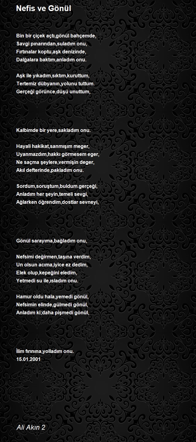 Ali Akın 2