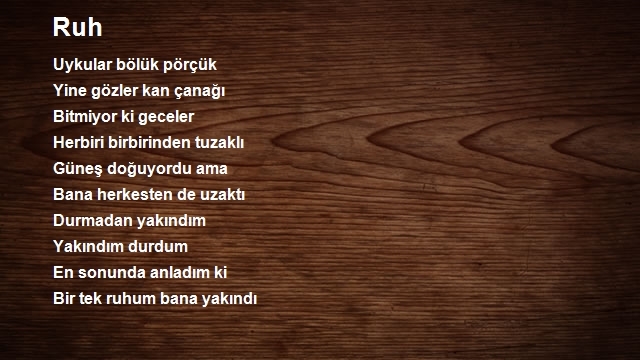 Burak Çelik 2