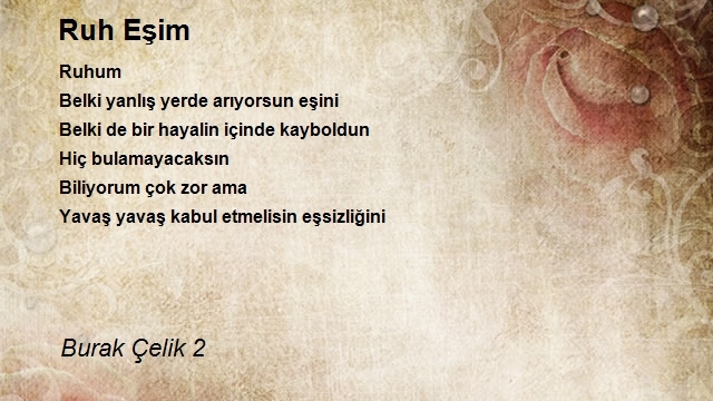 Burak Çelik 2