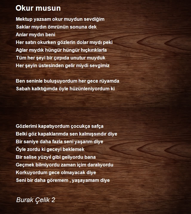 Burak Çelik 2