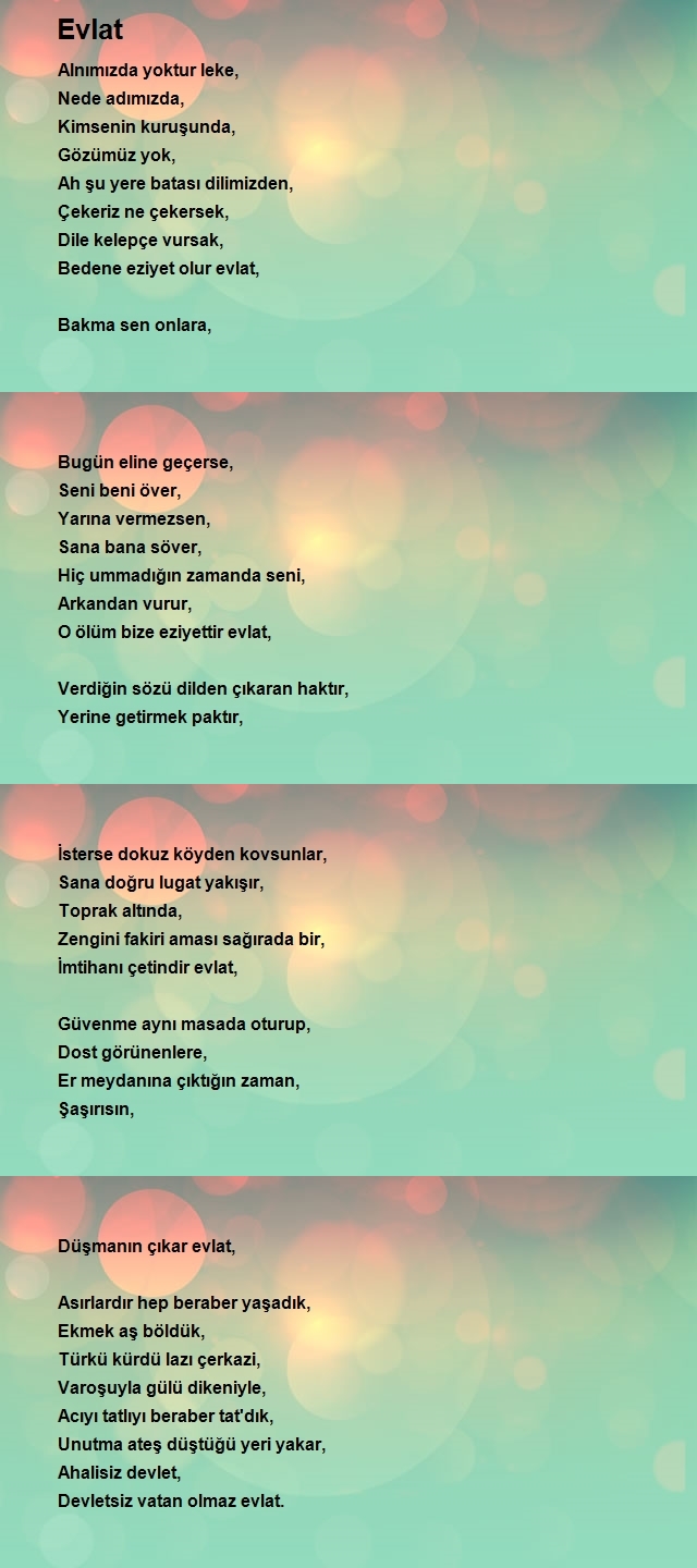 Ömer Yıldız 5