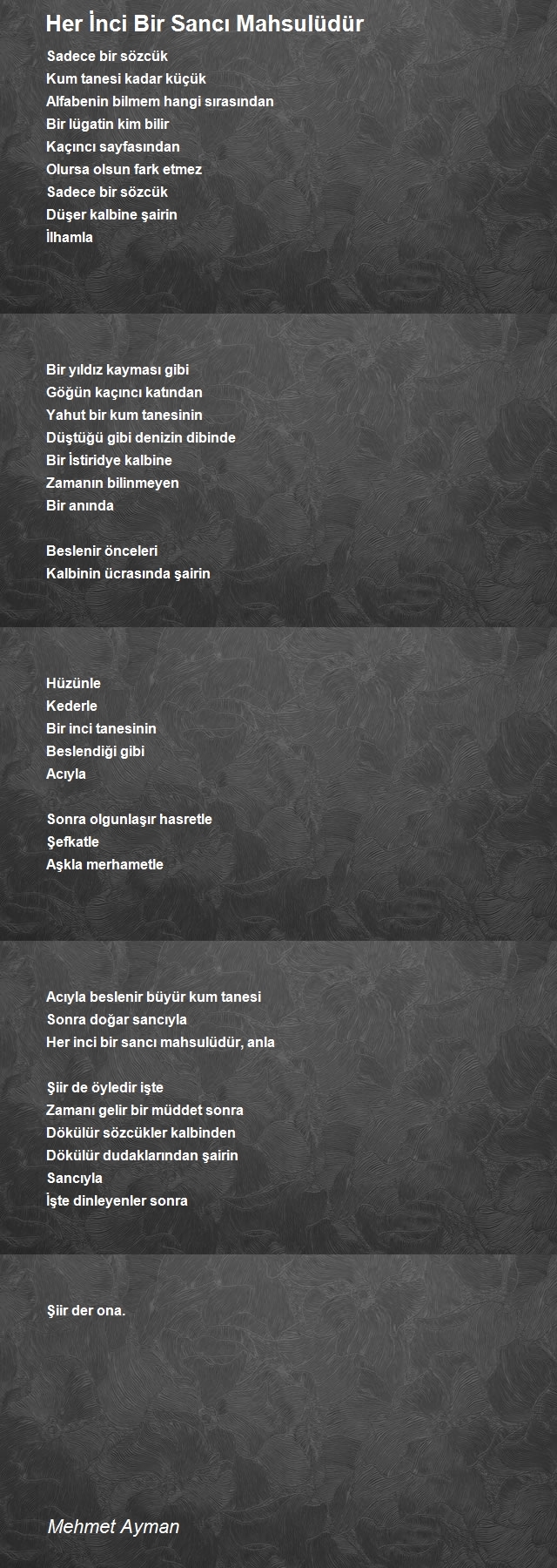 Mehmet Ayman
