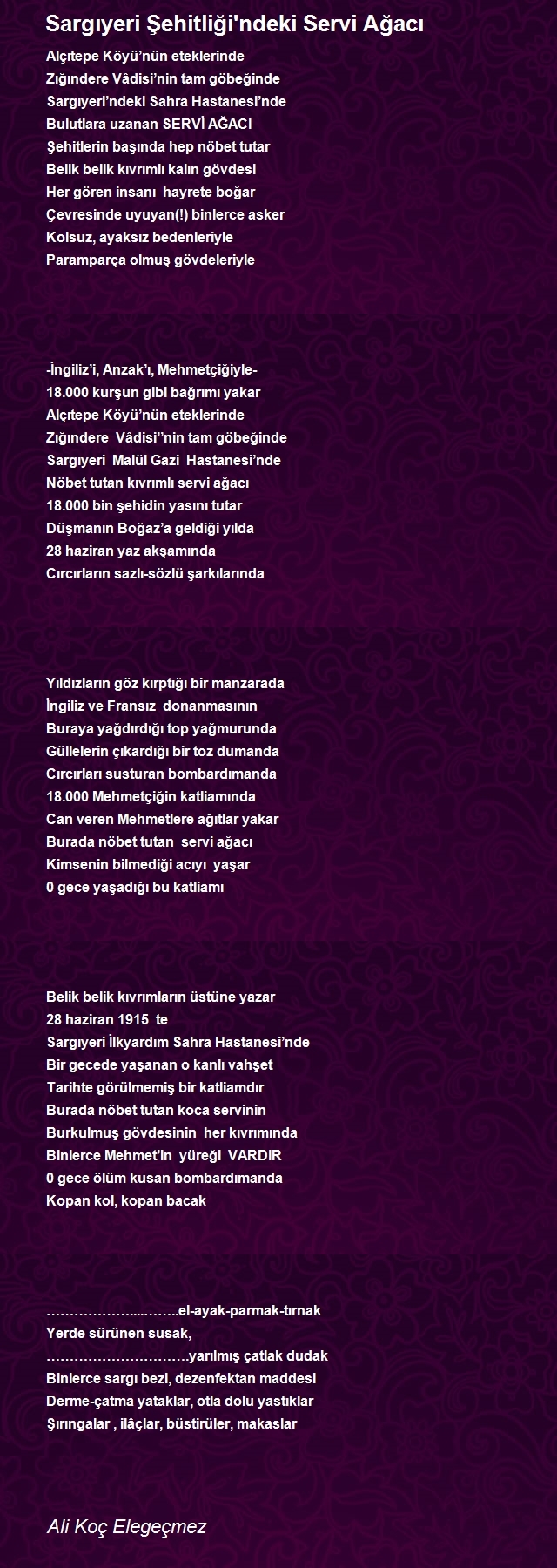 Ali Koç Elegeçmez