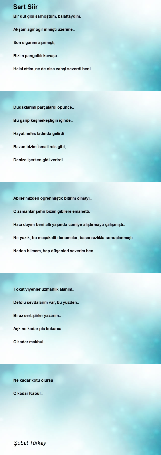 Şubat Türkay