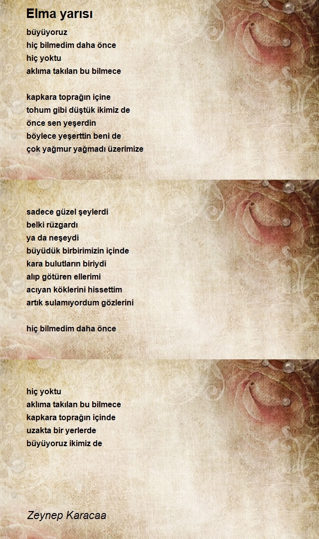 Zeynep Karacaa