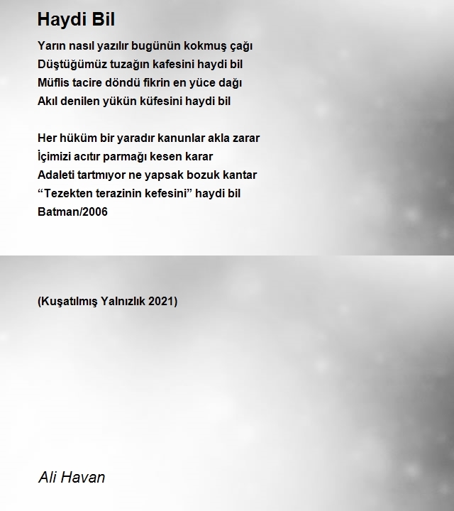 Ali Havan