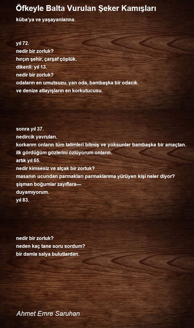 Ahmet Emre Saruhan