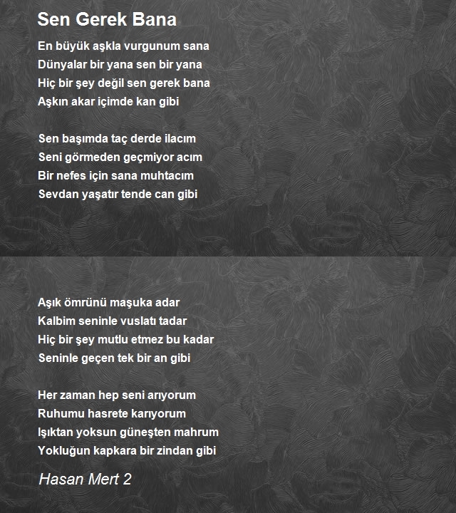 Hasan Mert 2