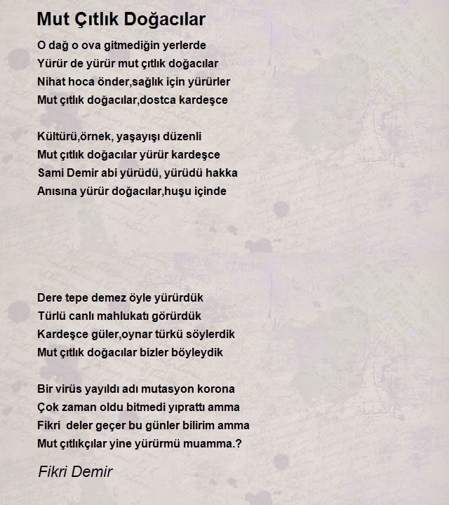 Fikri Demir