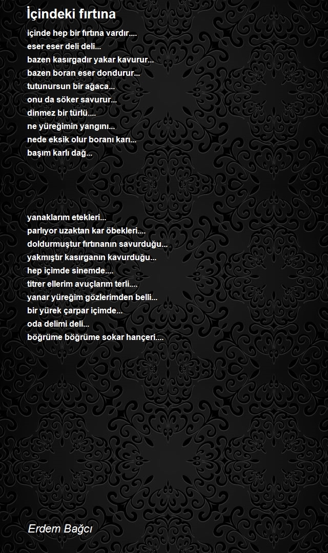 Erdem Bağcı