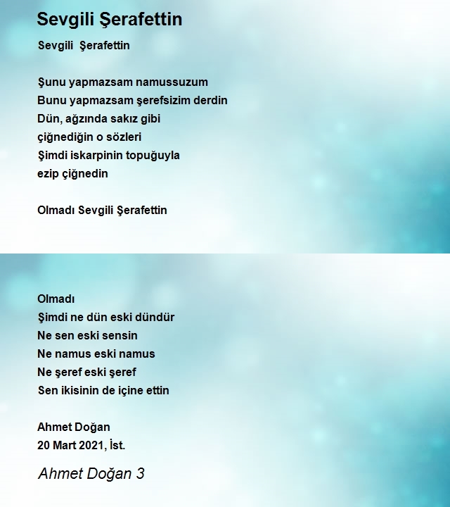 Ahmet Doğan 3