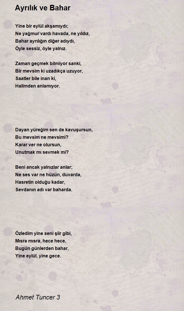 Ahmet Tuncer 3