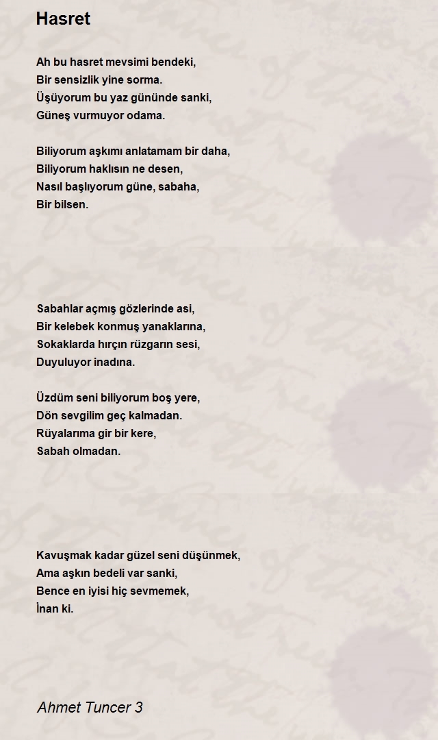 Ahmet Tuncer 3