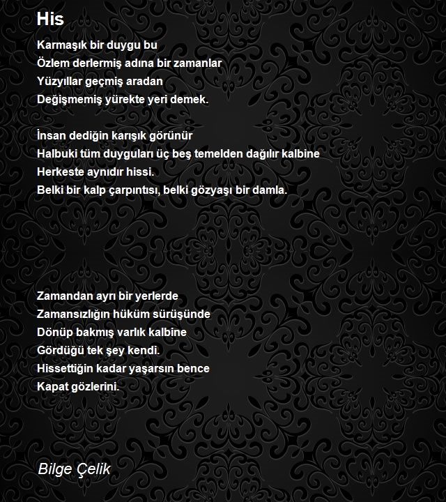 Bilge Çelik
