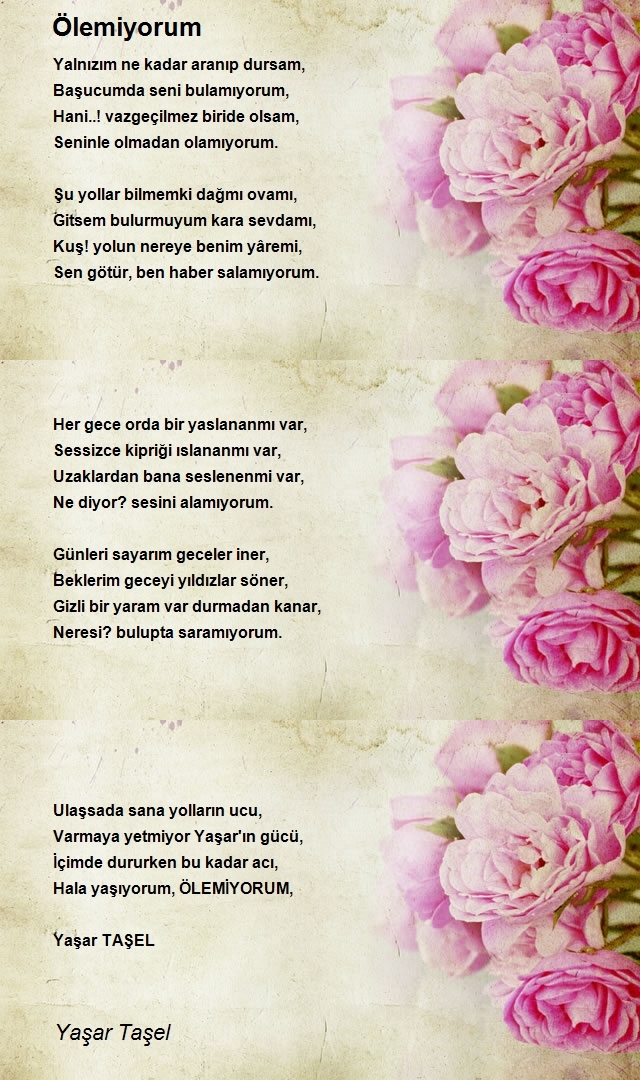 Yaşar Taşel