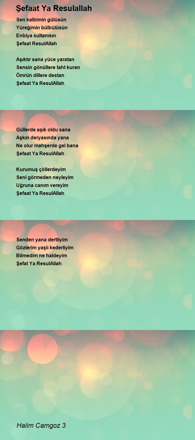 Halim Camgoz 3