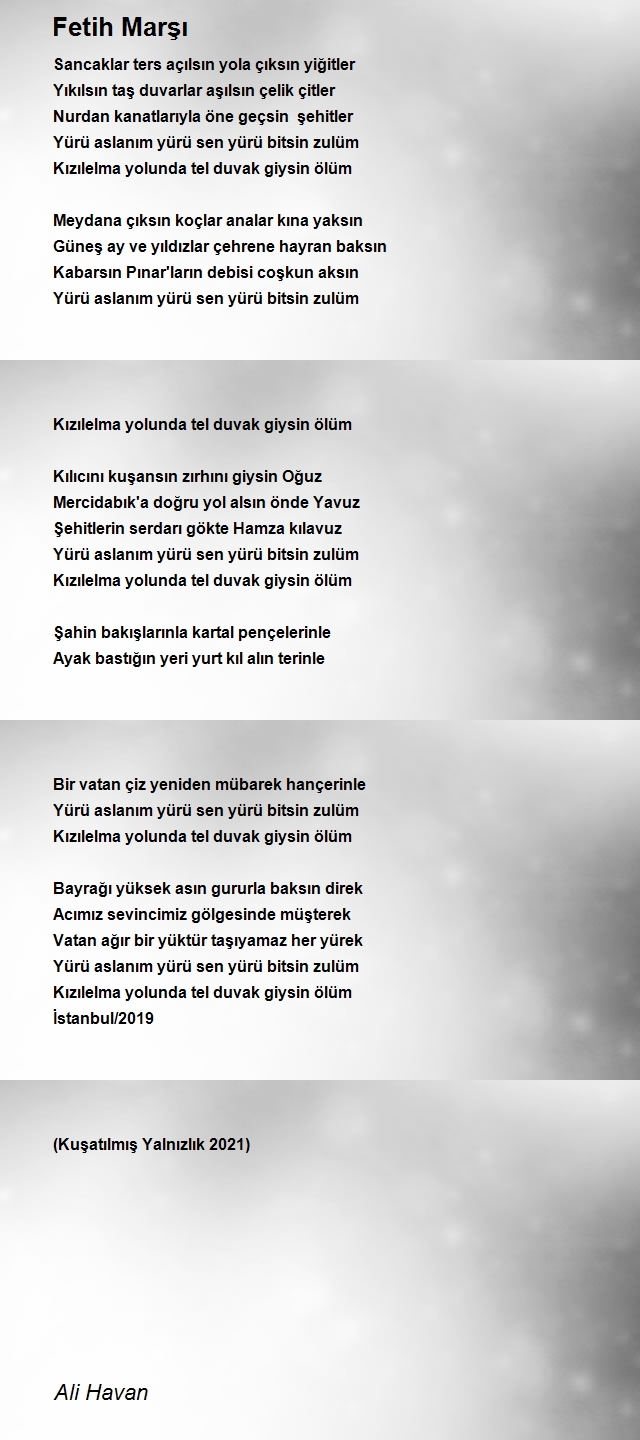 Ali Havan