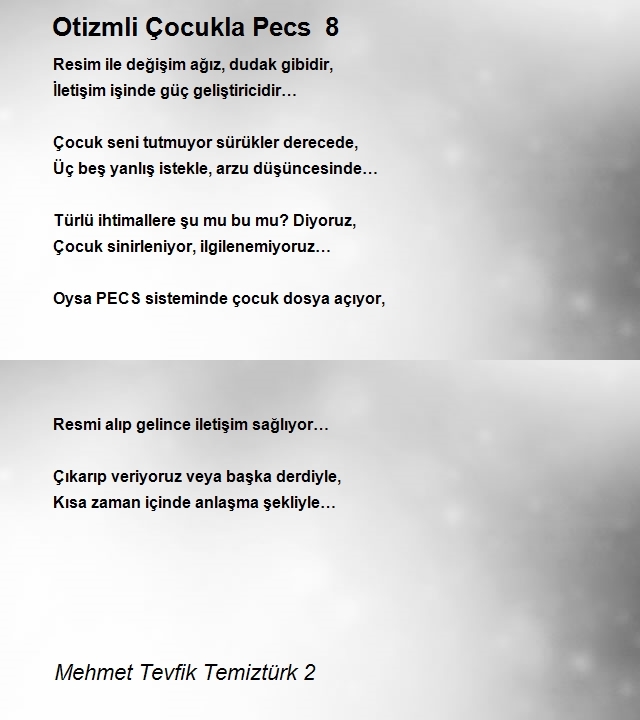 Mehmet Tevfik Temiztürk 2
