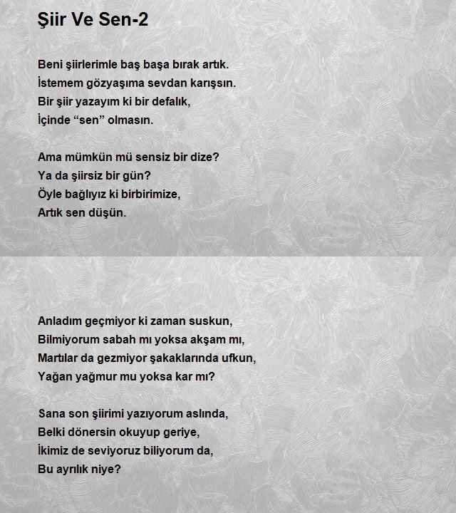 Ahmet Tuncer 3
