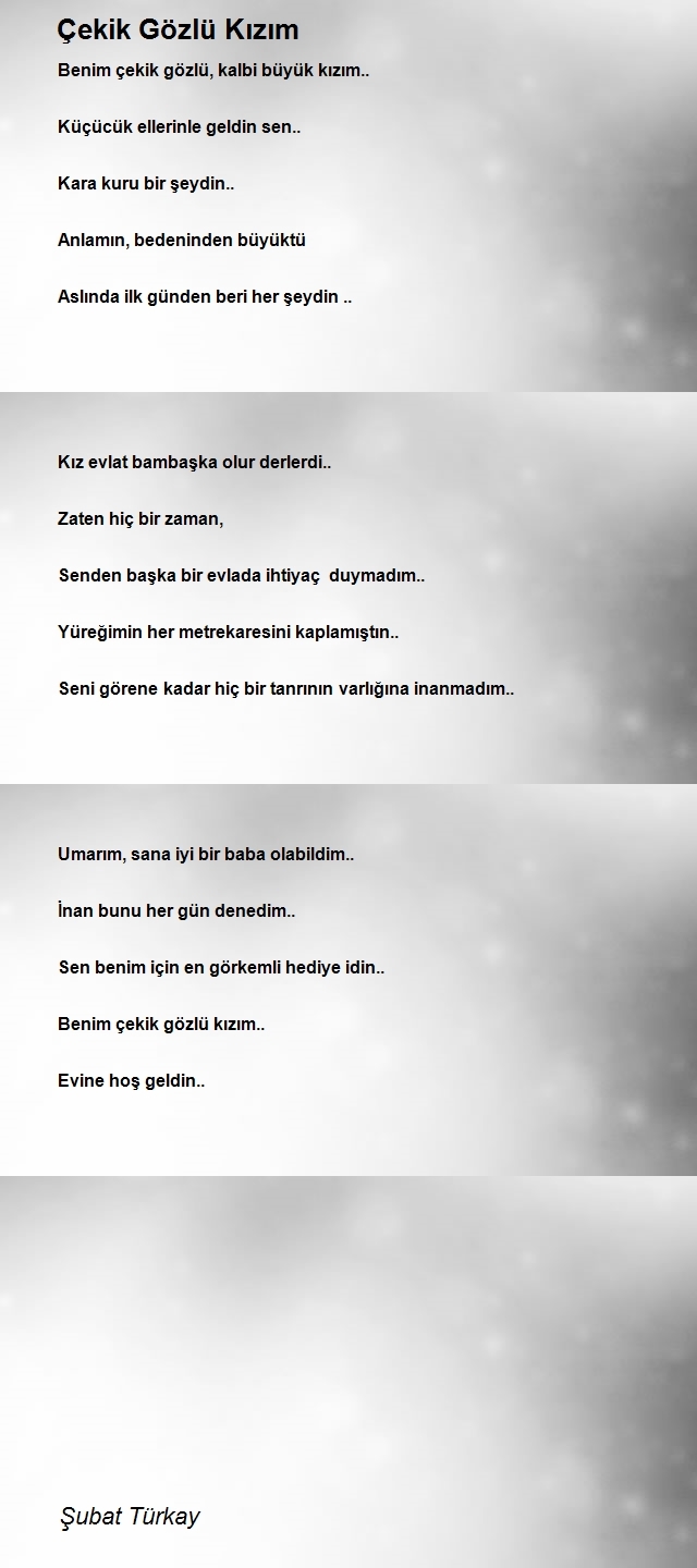 Şubat Türkay