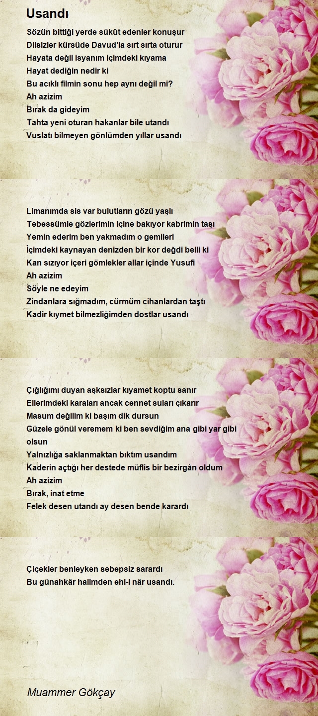 Muammer Gökçay