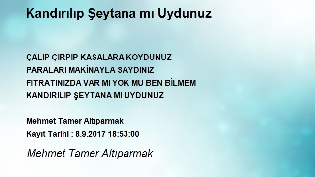 Mehmet Tamer Altıparmak