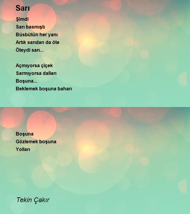 Tekin Çakır