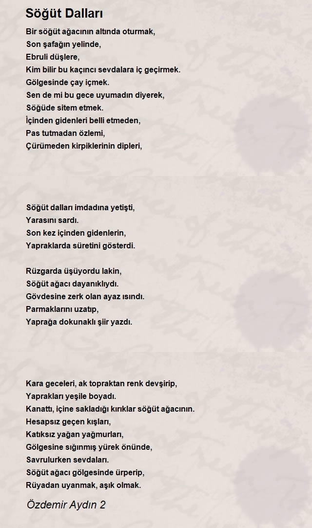 Özdemir Aydın 2