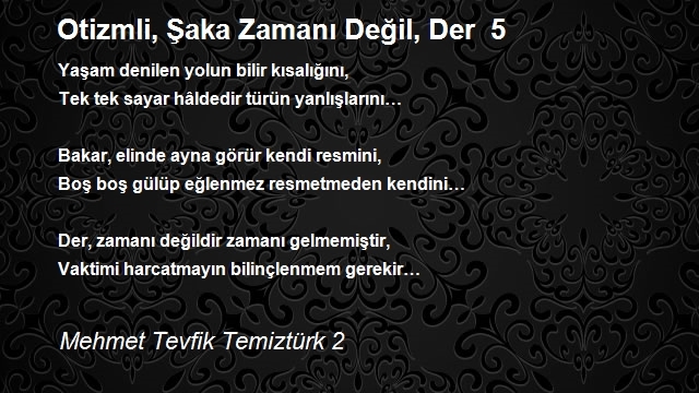 Mehmet Tevfik Temiztürk 2