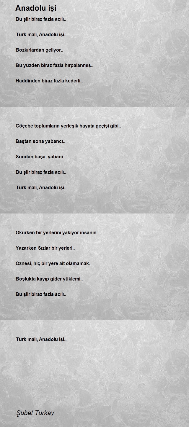 Şubat Türkay