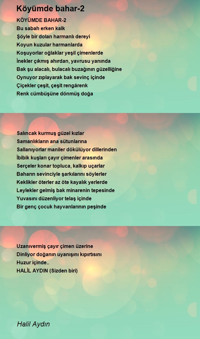 Halil Aydın