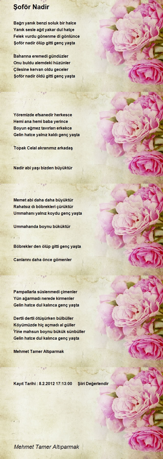 Mehmet Tamer Altıparmak