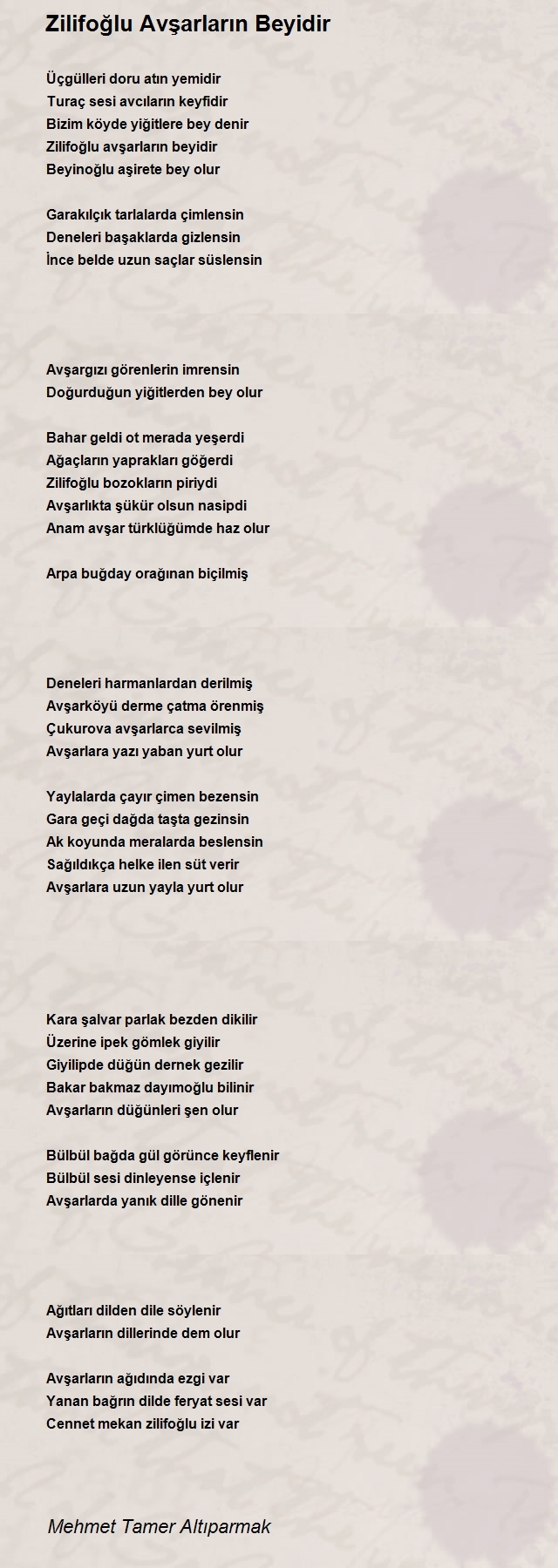 Mehmet Tamer Altıparmak