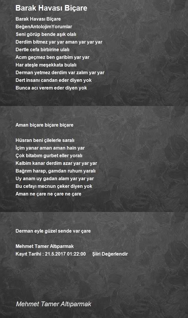 Mehmet Tamer Altıparmak