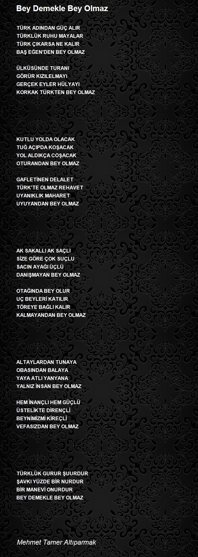 Mehmet Tamer Altıparmak