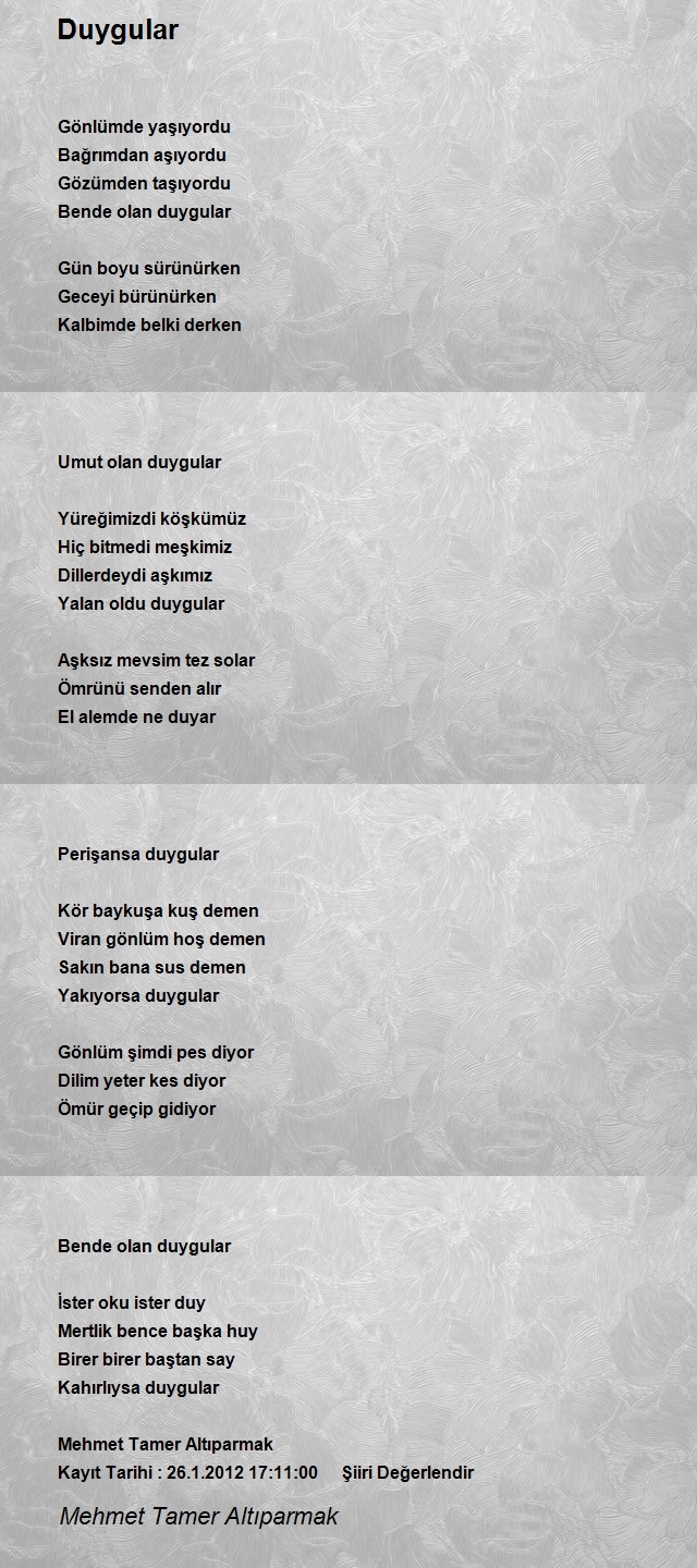 Mehmet Tamer Altıparmak