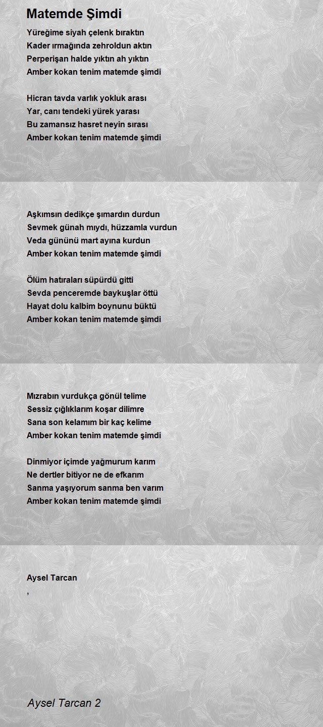 Aysel Tarcan 2