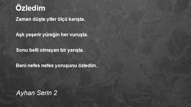 Ayhan Serin 2