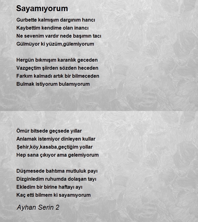 Ayhan Serin 2