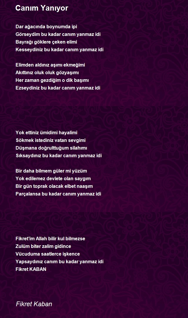 Fikret Kaban