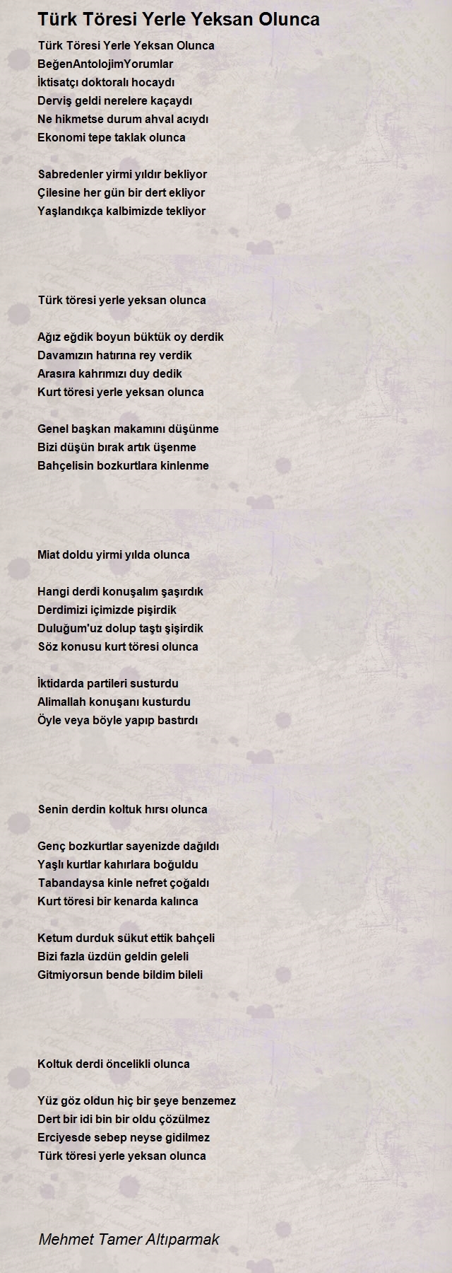 Mehmet Tamer Altıparmak