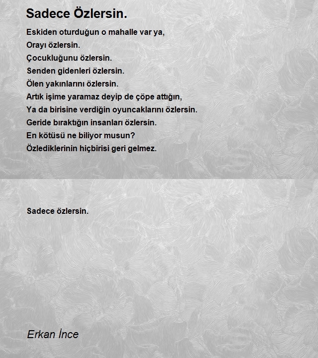Erkan İnce