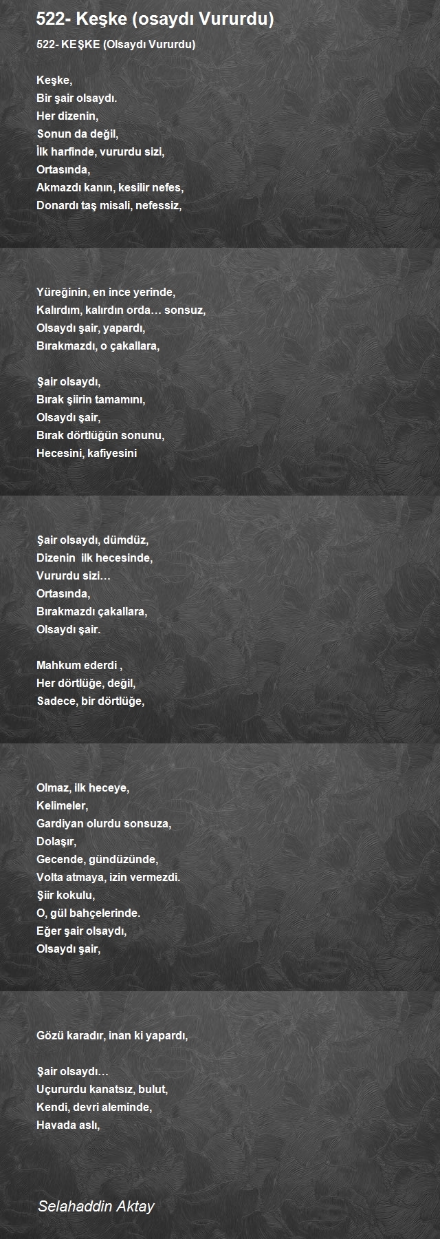 Selahaddin Aktay